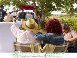 Festival Mar de Tethys 2026 - Bodega Vetas